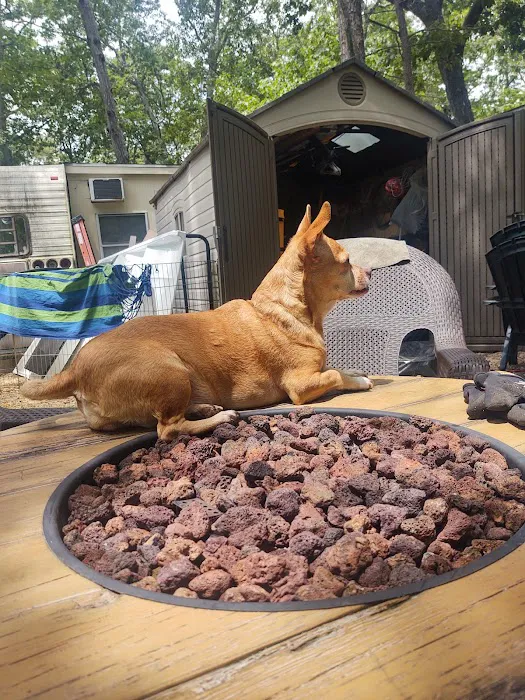 Tamerlane Campground Picture 8