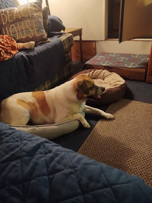 Tamerlane Campground Picture 1