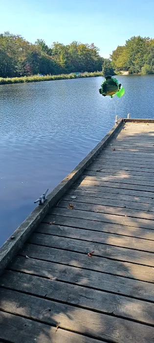 East Creek Cabin Picture 2