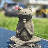 Arrowhead Ranch & Retreat ico