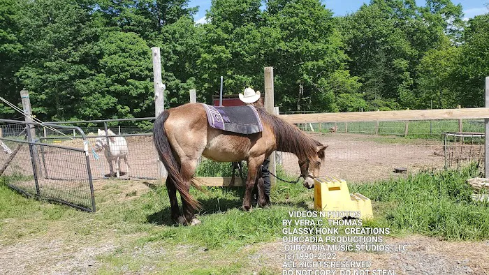 Arrowhead Ranch & Retreat Picture 7