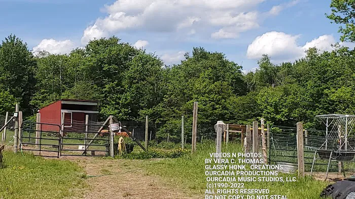 Arrowhead Ranch & Retreat Picture 8