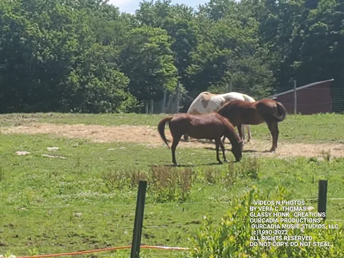 Arrowhead Ranch & Retreat Picture 9