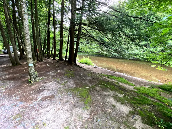 Covered Bridge Campsite Picture 1