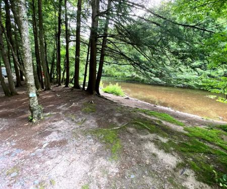 Covered Bridge Campsite