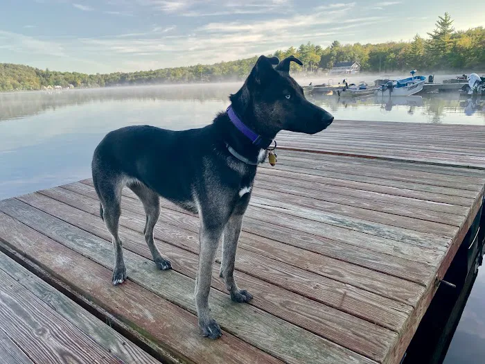 Hunter Lake Campgrounds Picture 10