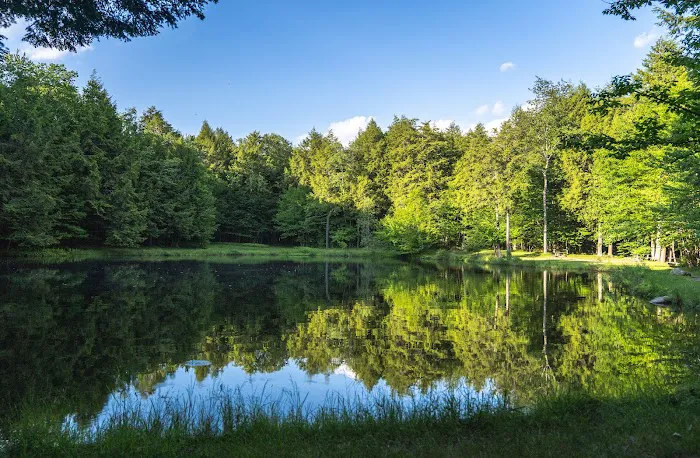 Willowemoc Campgrounds Picture 1