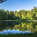 Willowemoc Campgrounds