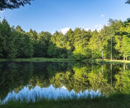 Willowemoc Campgrounds