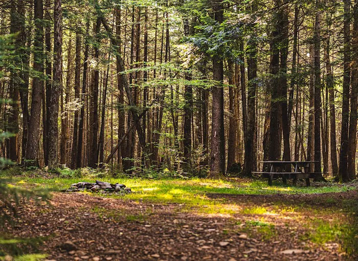 Willowemoc Campgrounds Picture 9