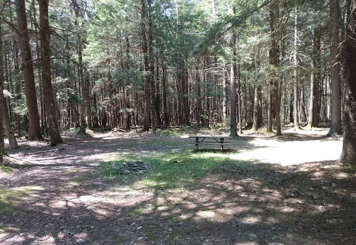 Willowemoc Campgrounds Picture 3