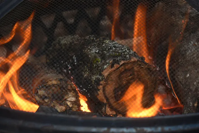 The Camp at Twin Creeks Picture 3