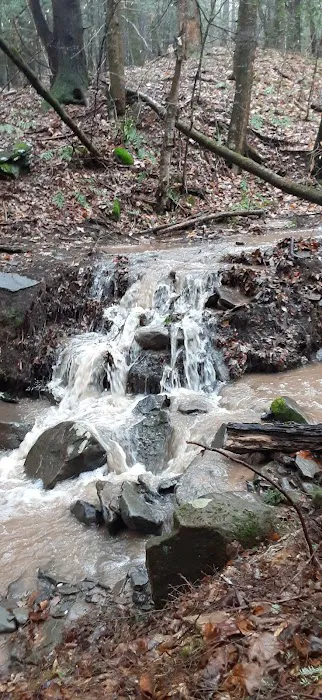 The Camp at Twin Creeks Picture 2