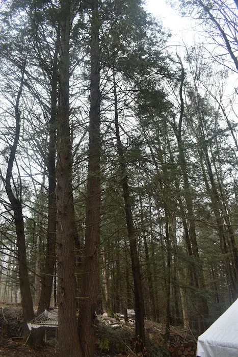 The Camp at Twin Creeks Picture 1