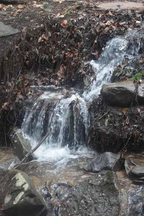 The Camp at Twin Creeks Picture 4