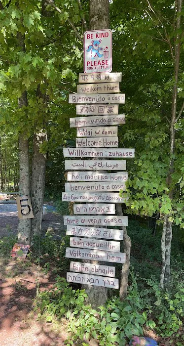 Yasgur Road Picture 8