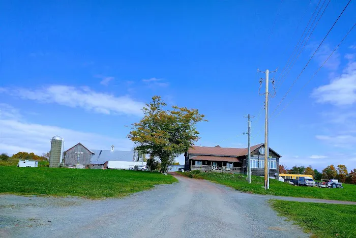 Yasgur Road Picture 5