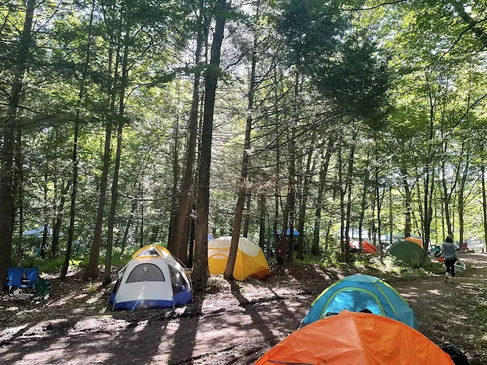 Yasgur Road Picture 3