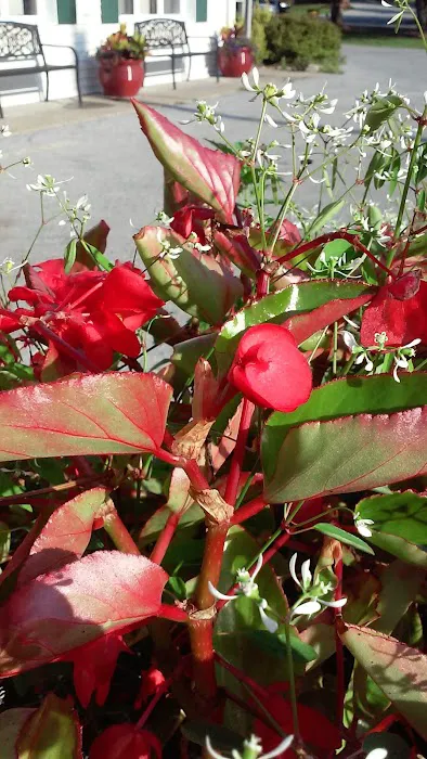 Seventh-Day Adventist Camp Victory Picture 8