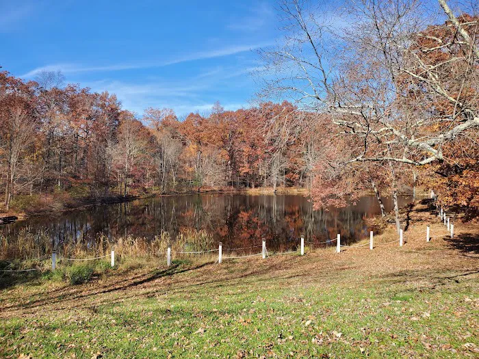 Camp Victory Lake Picture 9