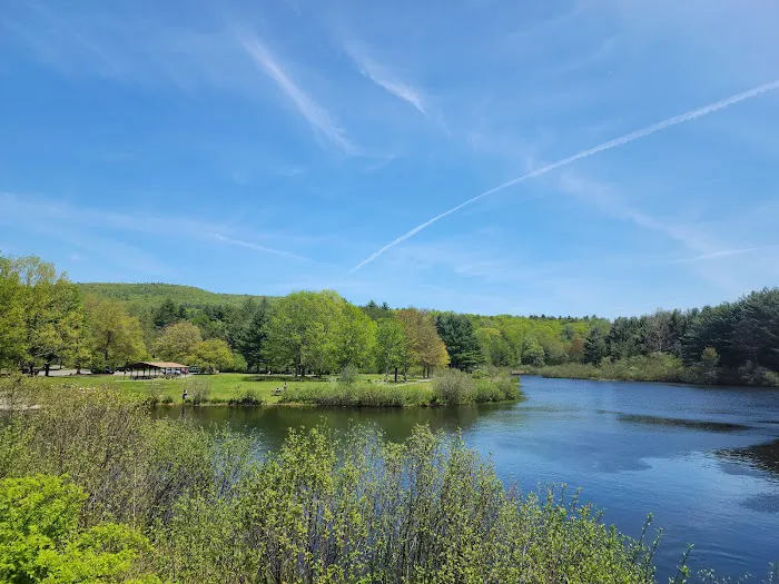 Kenneth L. Wilson Campground Picture 7