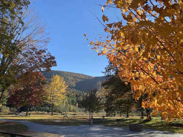 Kenneth L. Wilson Campground Picture 9