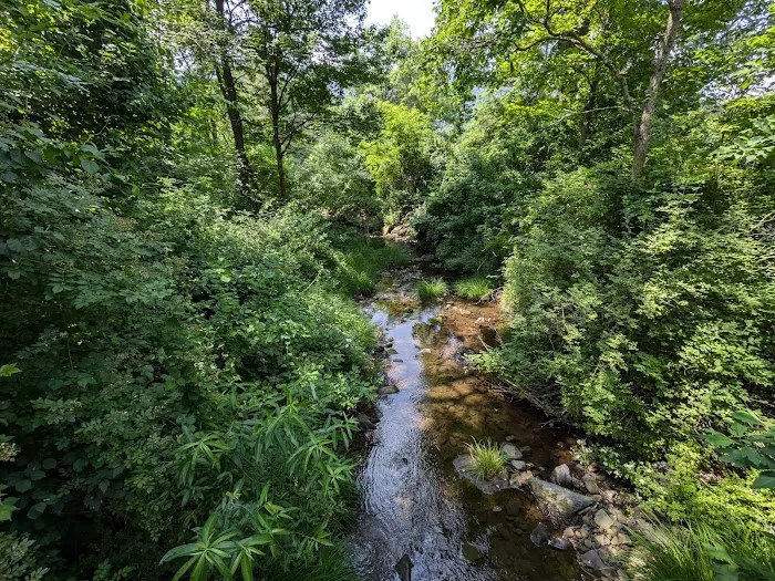 Kenneth L. Wilson Campground Picture 10