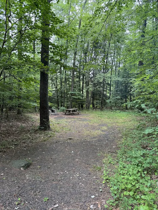 Kenneth L. Wilson Campground Picture 8