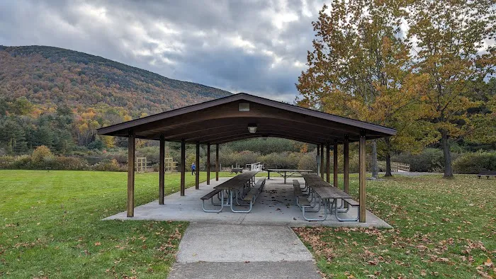 Kenneth L. Wilson Campground Picture 6