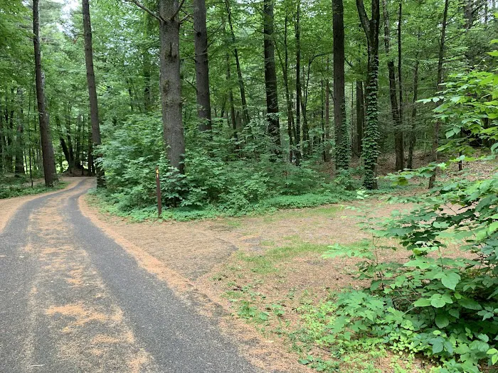 Kenneth L. Wilson Campground Picture 1