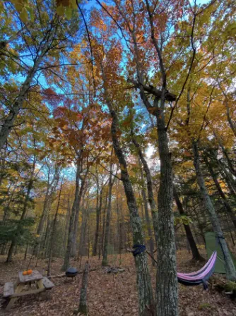 Camp Goat Hill Picture 1