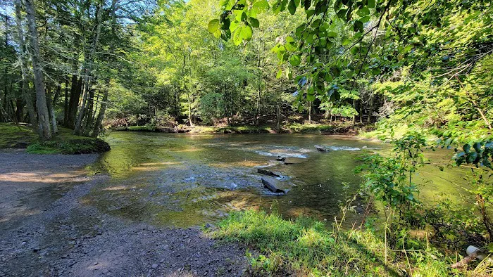 Rip Van Winkle Campgrounds Inc Picture 2