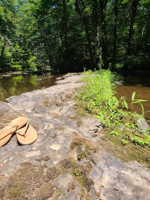 Rip Van Winkle Campgrounds Inc Picture 6