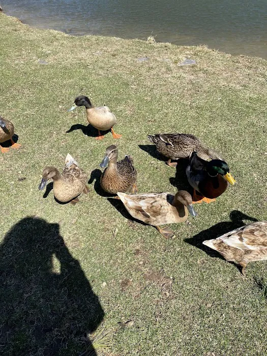 Rip Van Winkle Campgrounds Inc Picture 8