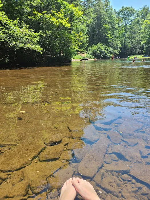 Rip Van Winkle Campgrounds Inc Picture 3