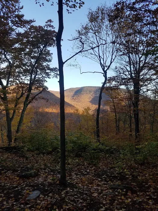 Shady Knolls Picture 3