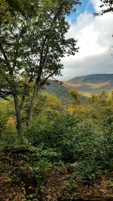 Shady Knolls Picture 2