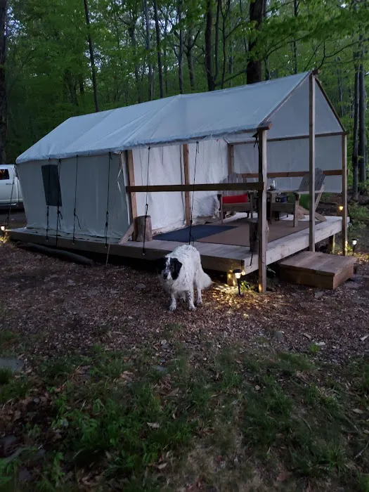 Shady Knolls Picture 4