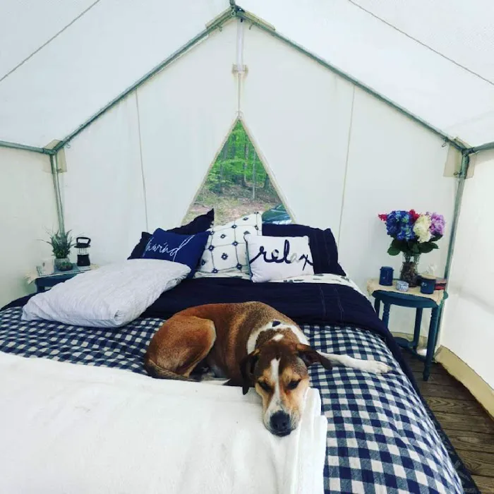 Shady Knolls Picture 7