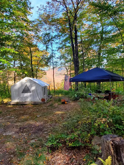 Shady Knolls Picture 8