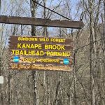 Firefox mountain cabin 1