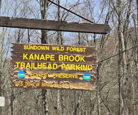 Firefox mountain cabin 1