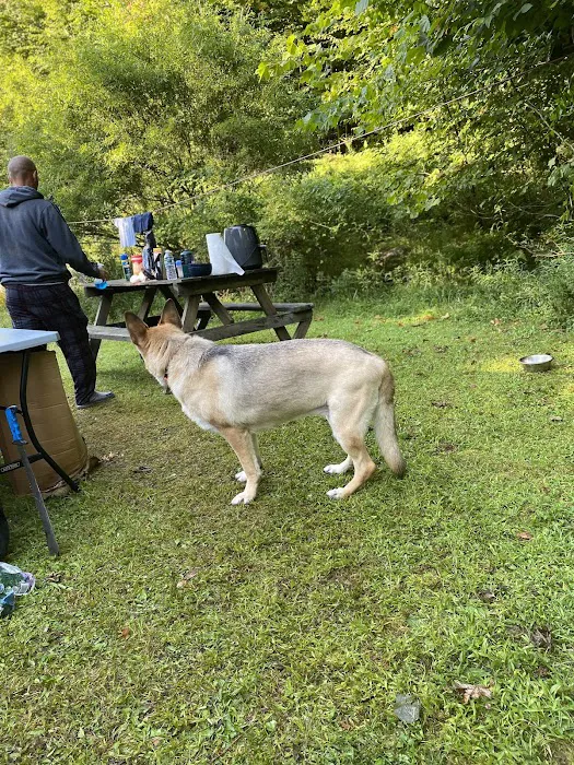 Hide-A-Way Campsite Picture 3