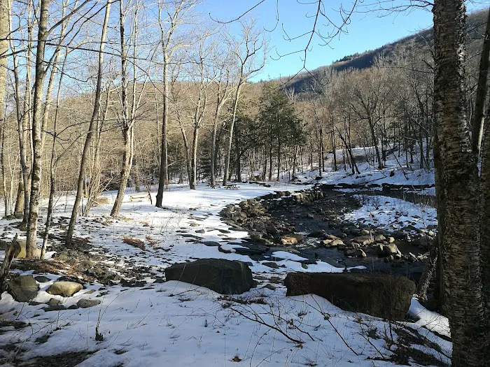 Woodland Valley Campground Picture 4