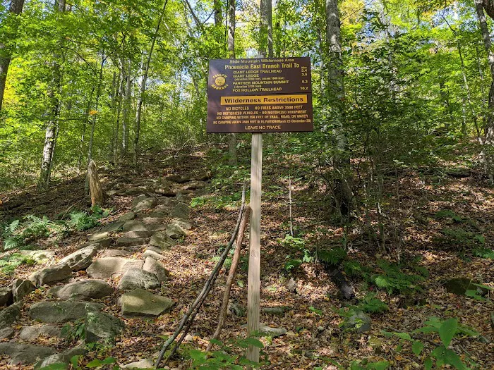 Woodland Valley Campground Picture 5