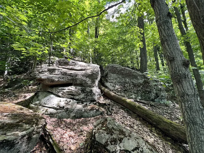 Woodland Valley Campground Picture 7