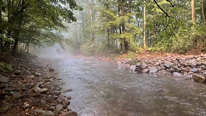 Woodland Valley Campground Picture 8