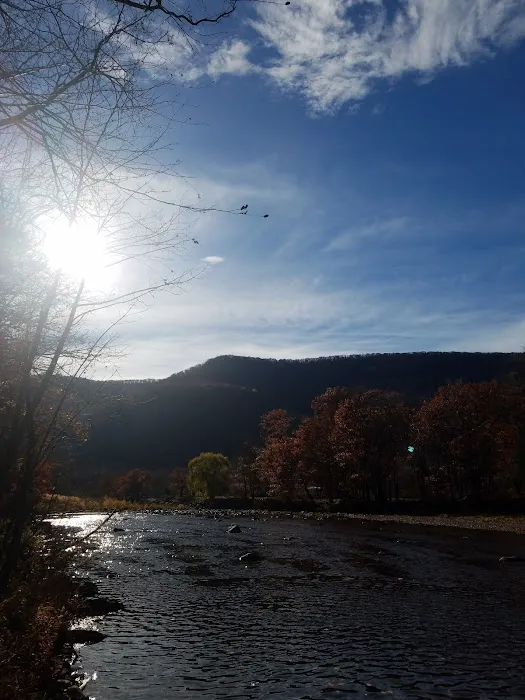 Sleepy Hollow Campground Picture 8