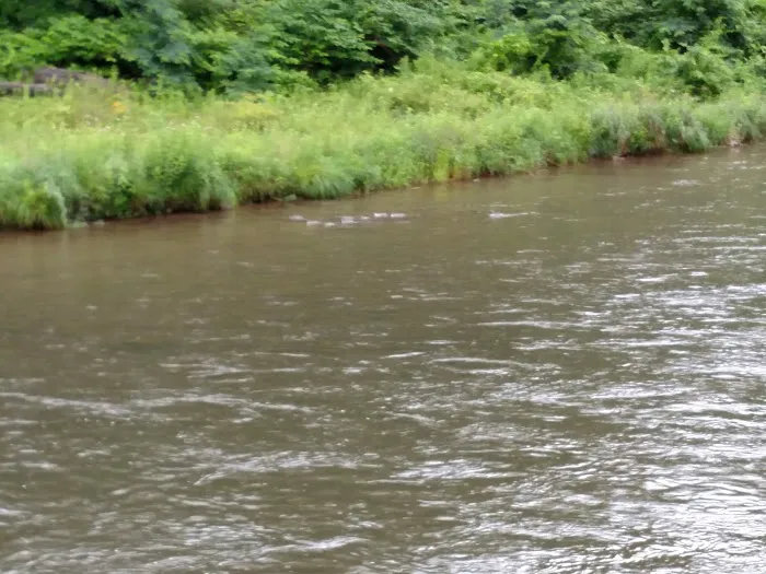 Sleepy Hollow Campground Picture 3