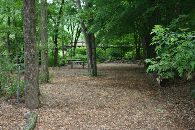 Phoenicia Black Bear Campground Picture 3